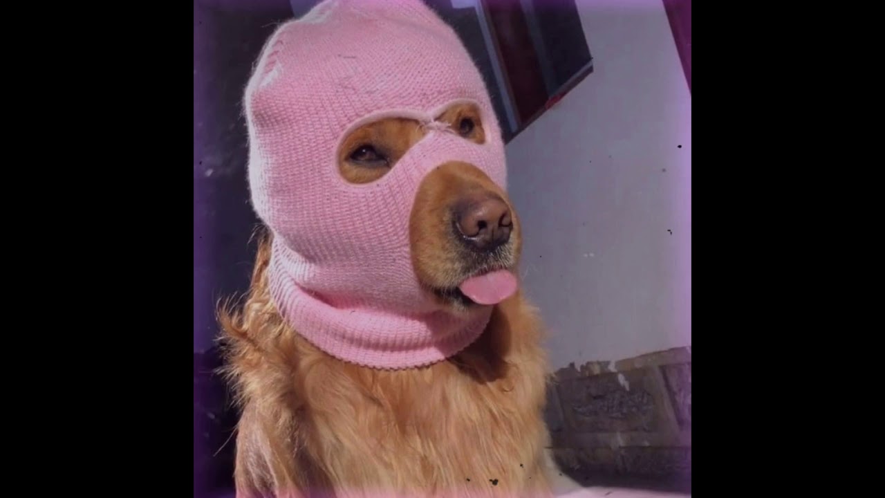 TING Ft Bong Pit ( Wang Fee Hong Ft Mong Say ) Techno Remix 2021 The Black Team