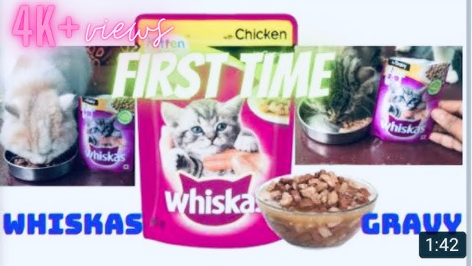 Felix whiskas