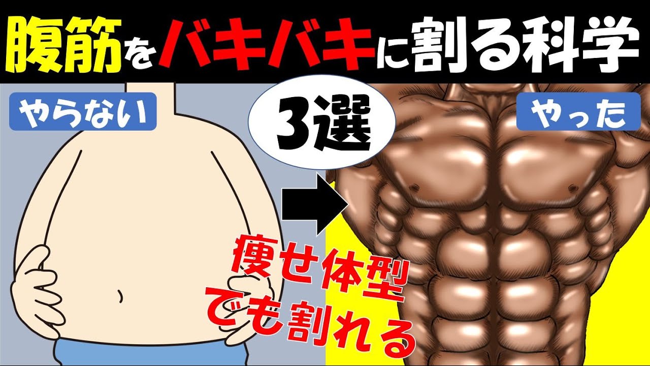 【科学的根拠あり】最速で腹筋をバキバキに割る科学的手法3選　~体型別のモテ体型の作り方~