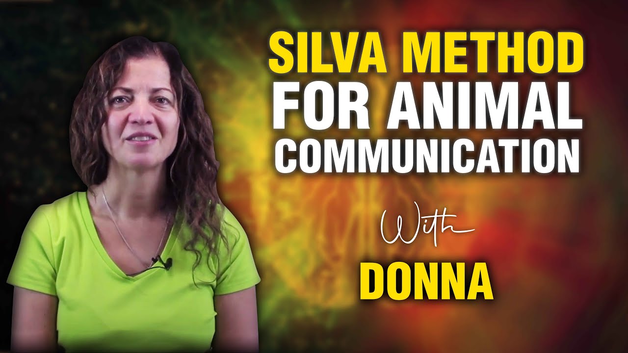 Silva Method for Mental Texting with Animals: Donna's Experience - YouTube