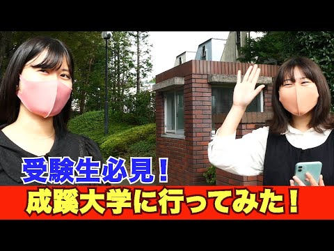 成蹊 大学 花 より 男子