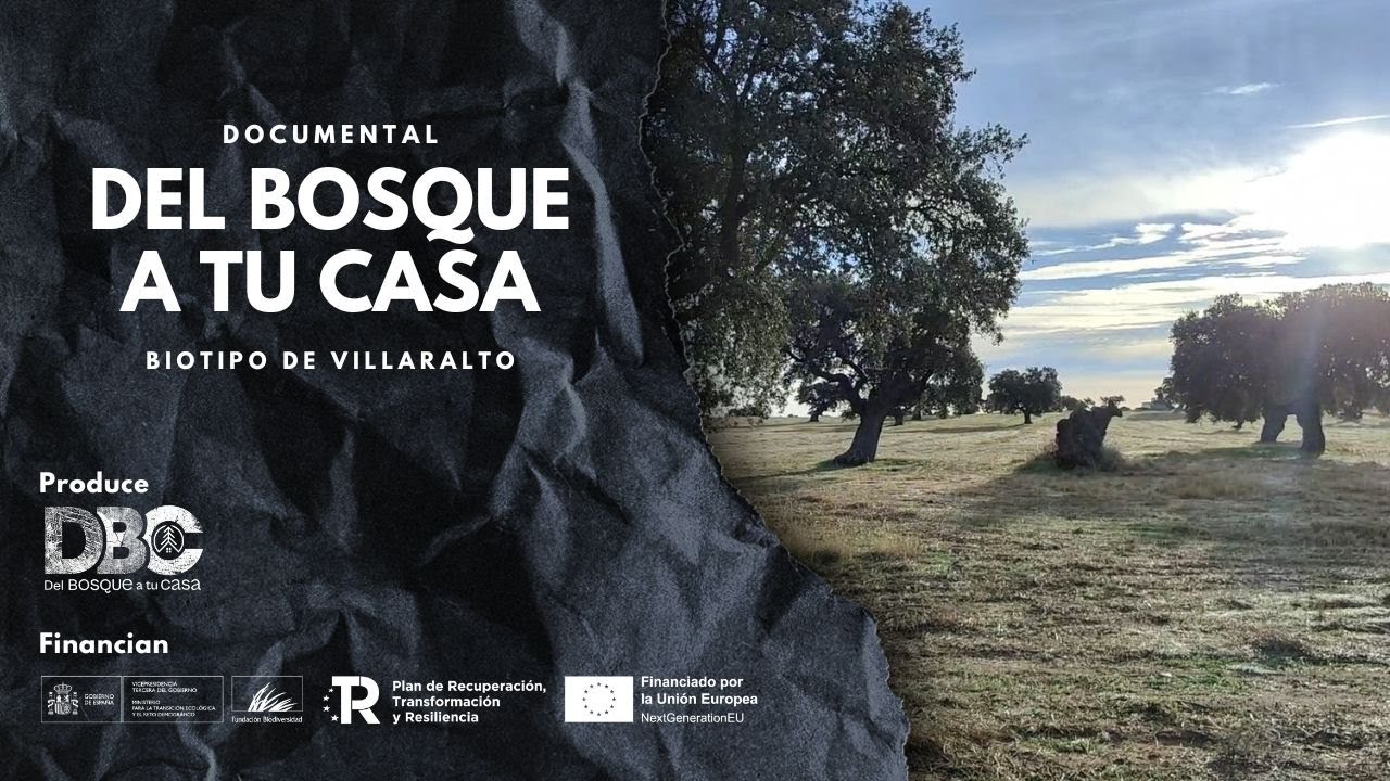 Recuperando la DEHESA y la BELLOTA en VILLARALTO (Del Bosque a tu casa)