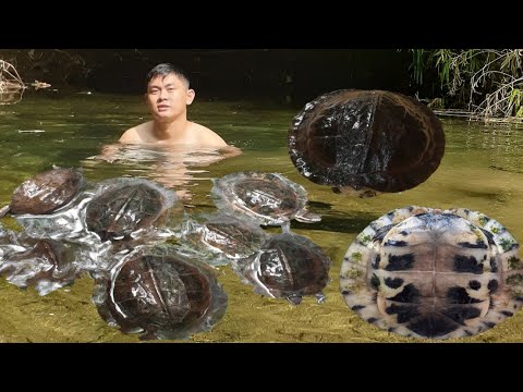 Nanghuli ako ng pagong sa ilog part 1