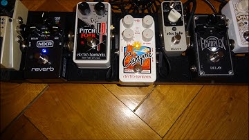 Ambient Guitar Swells with the Electro Harmonix Canyon (Octave) Delay & Looper