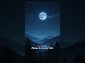 Nur Al-Qulub (Light of the Hearts) | Powerful Arabic Nasheed 🌙  #nomusic #peace #nasheed #dhikr