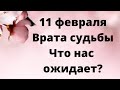 11 февраля - Врата судьбы. Что нас ожидает? |Тайна Жрицы |