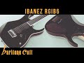 Ibanez Baritone Guitar with Seymour Duncan Pickups- RGIB6