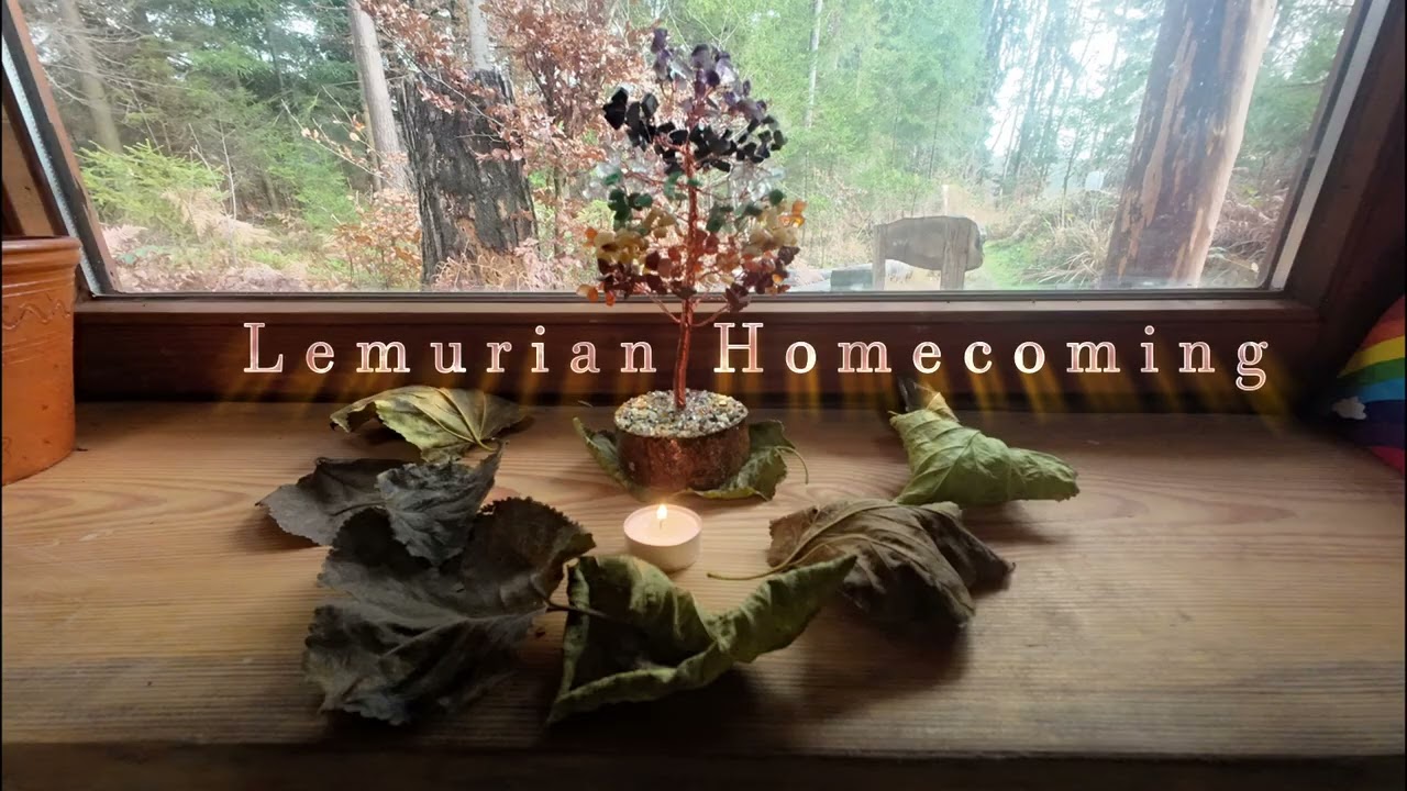 Guided meditation journeys