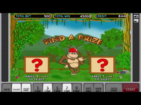 Biggest Win On The Crazy Monkey Slot Machine - Bonus Game