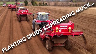 4Kᵁᴴᴰ March 2024: Planting potatoes & spreading manure New Holland Massey Ferguson Valtra Grimme JD