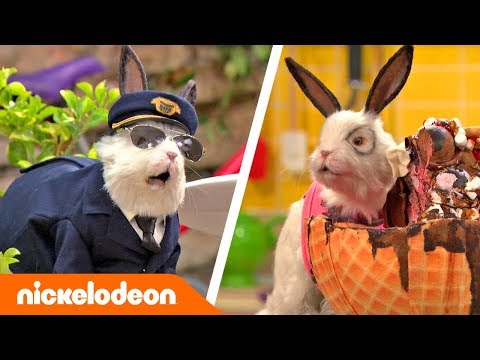 Грозная семейка | Лучшие моменты с Доктором Колоссо, часть вторая 🐇 | Nickelodeon Россия