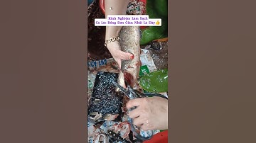 Người Chị Bán Cá Chia Sẻ Kỹ Thuật Công Cách Làm Sạch Cá Lóc Đồng Nhanh Như Gió 👍, #shorts