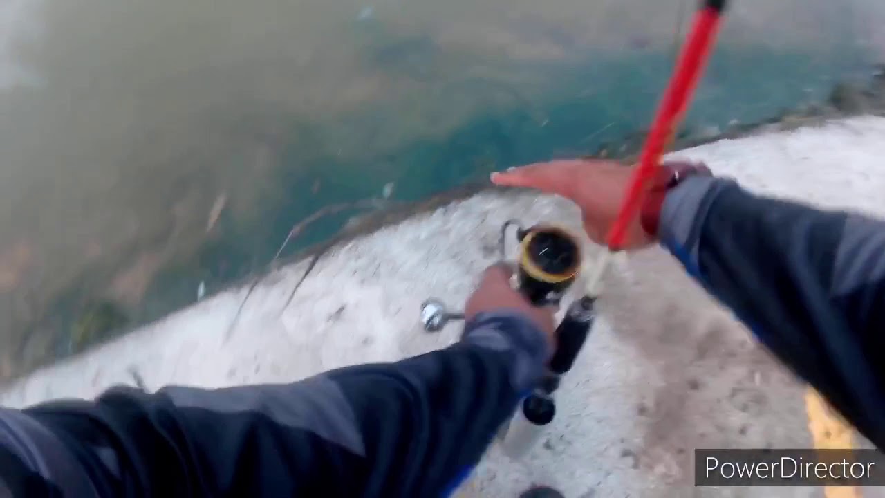 Damai Grouper CNR Part 2 - #v12