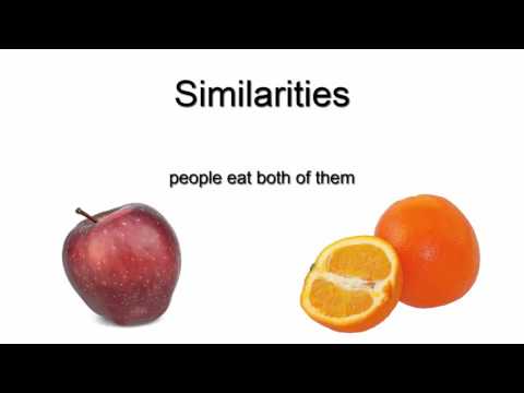 Apples And Oranges How To Compare Apples And Oranges Youtube