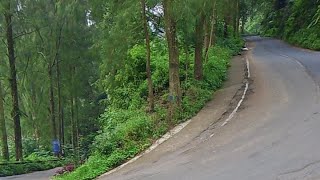 sitinjau mini Pasuruan KABUT JALANAN  sedang live sekarang!