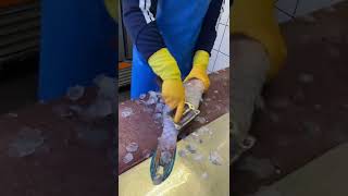 Parrot fish cleaning