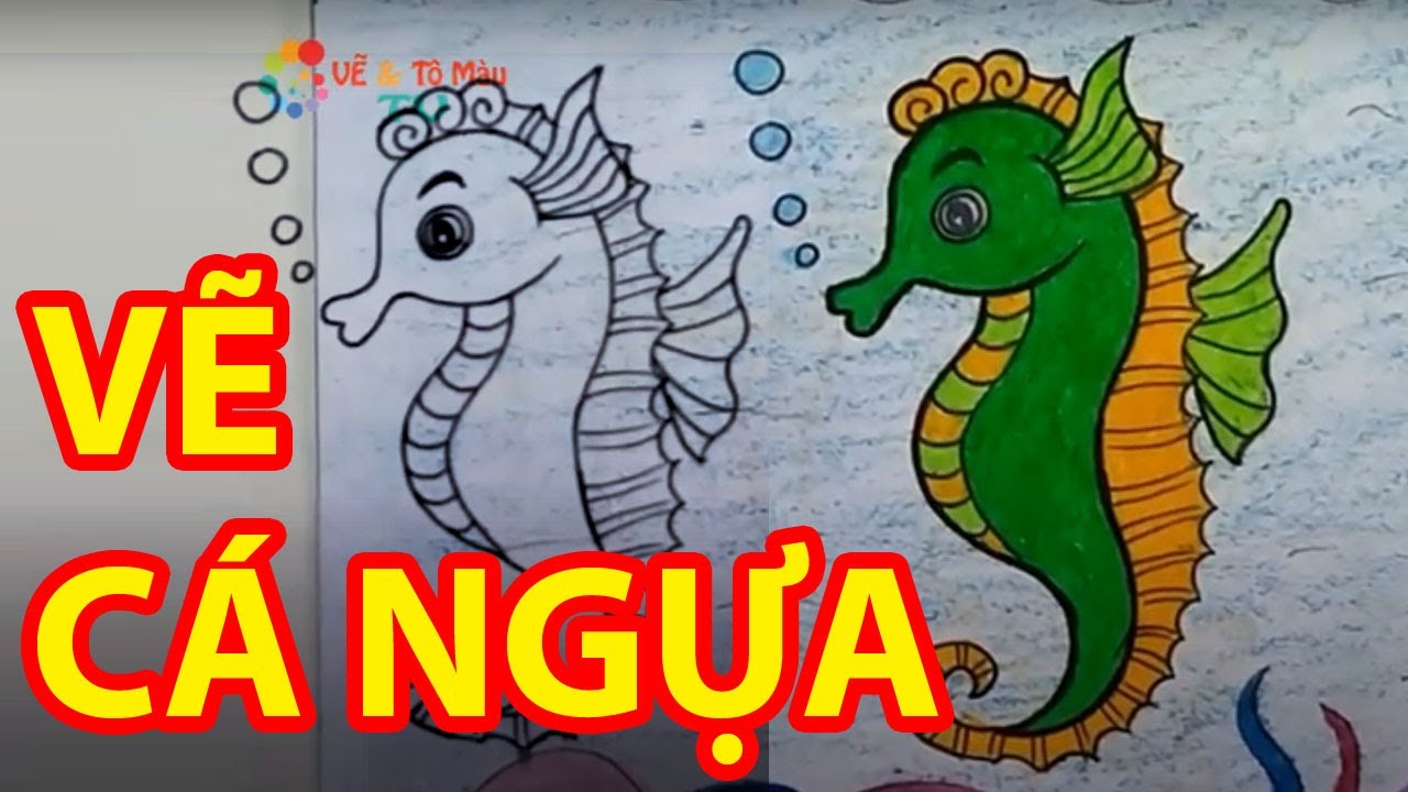 Vẽ Cá Ngựa - Cách Vẽ Con Cá Ngựa Đơn Giản Dễ Thương - Draw Seahorses -  Youtube