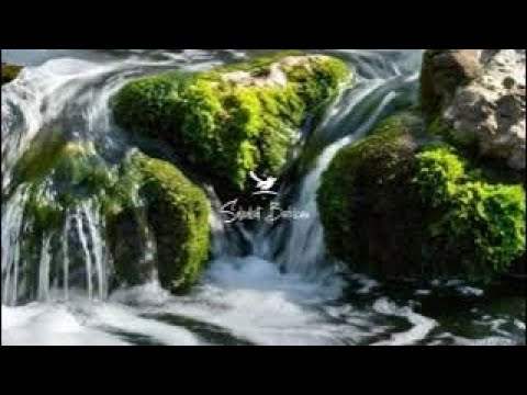 terapi air untuk burung pleci biar cepat ngriwik sambung ngerol, gemericik air