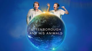 Attenborough and his Animals - Official Trailer