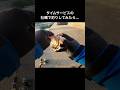 堤防釣り最強のエサを使った結果…!