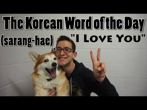 How To Say "I Love You" In Korean