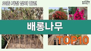 가장 많이 팔린 배롱나무 추천 Top10!
