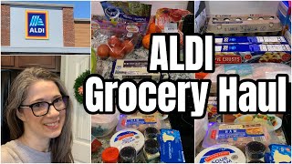 ALDI Grocery Haul | Walmart & Lidl Grocery Haul | Weekly Grocery Haul