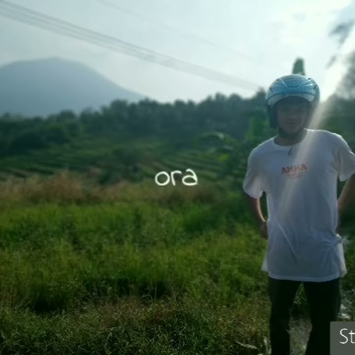 Lagi mbuh