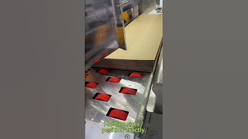 Auto lead edge feeder with servo motors control, exact and protective feeder