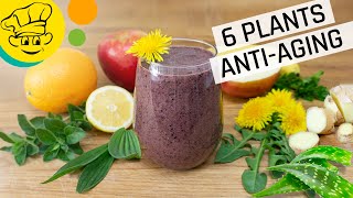 Anti-Aging Secrets | 6 Medicinal Plants | Daily Healthy Smoothie