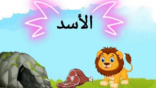 معلومات عن الاسد للاطفال _معلومات عن حيوانات الغابة/  about lion for kids