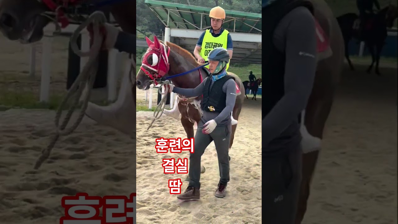 훈련의 결실 하얀것은