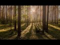 Поездка на целебный источник