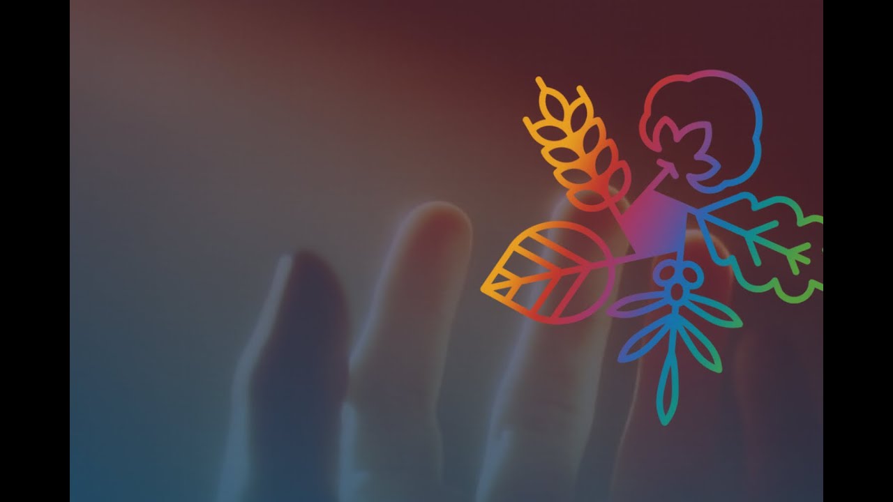 The Humanity Party's THumP Fair Tax Plan