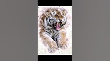 Thumbnail of tiger roar sound, wildlife sound #tiger  #roar  #wildlife  #shorts  #viral.