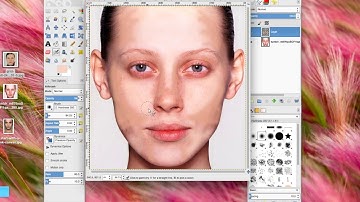 Photoshop contour on diffierent face structures (Gimp)