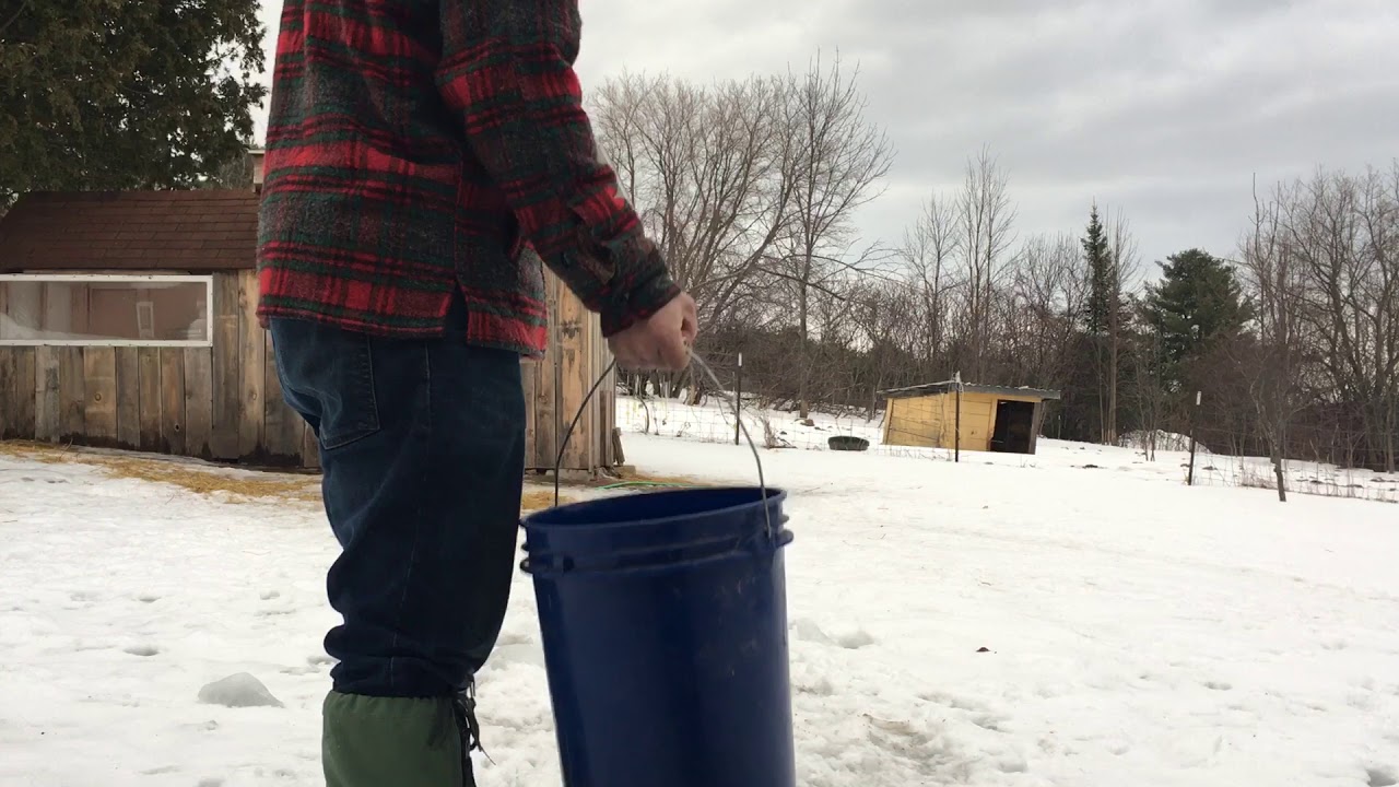 Tips On How To Carry A Bucket Of Water YouTube