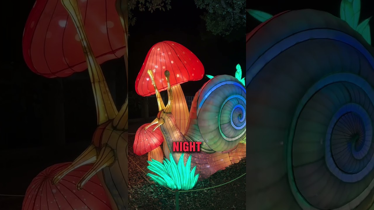 Orlando Holiday events: Part 5