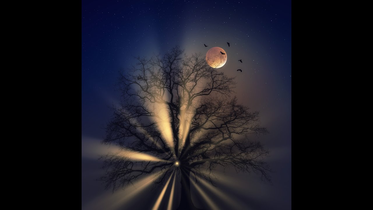 سورة المرسلات  .سورة الملك …   (امام فيصل محمد )     سورة الحاقة  راحة نفسية لا توصف