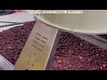 Continuous Peanut Roasting Machine /Kenya Customer Feedback