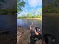 900 Miles for a Monster?! (Neuse River Pt 1) #rivermonsters #neuseriver #ncfishing