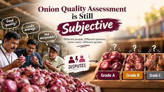 AI-Powered Onion Quality Assessment & Grading System