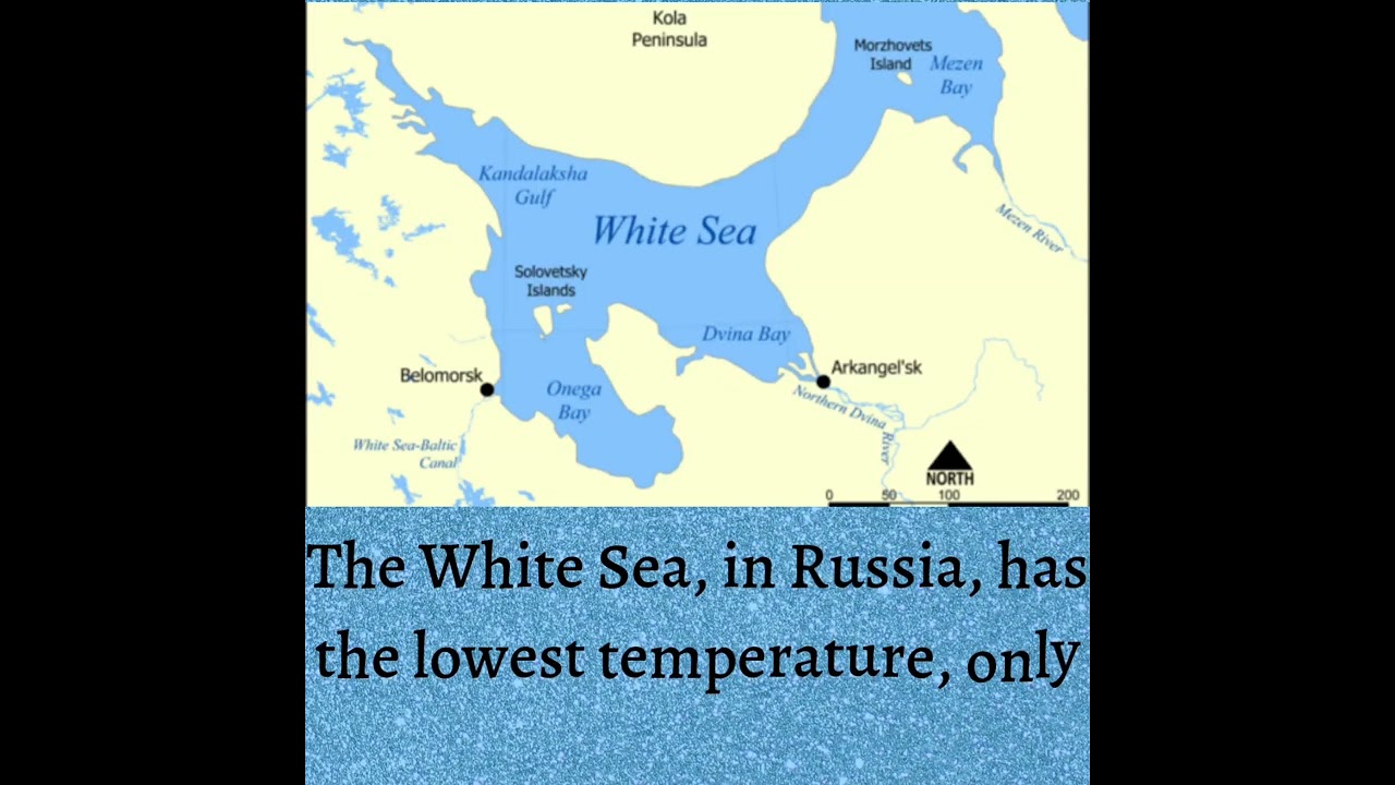 The White Sea 
