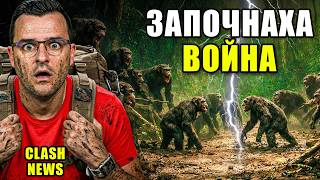 Маймуните ВОЮВАТ като нас… и е ПЛАШЕЩО - Новини - Clash News