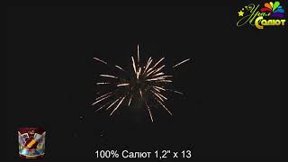100% Салют СП1201301