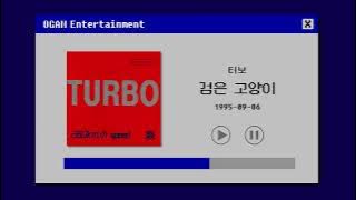 [BEST SELLER] 터보 - 검은 고양이