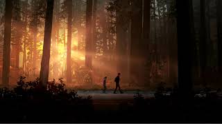 Life is Strange 2 OST: Into The Woods (Preview)