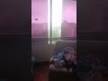 TERREMOTOS EN VENEZUELA I Miedo y desesperación entre los sobrevivientes por las continuas réplicas