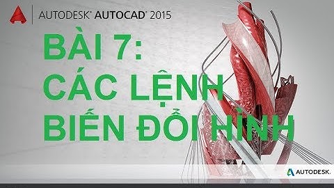 Hướng Dẫn Học Autocad Đơn Giản - (Bài 7) | Các Lệnh Biến Đổi Hình