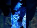 Projector Ocean | projector starry ocean wave | ocean projector background